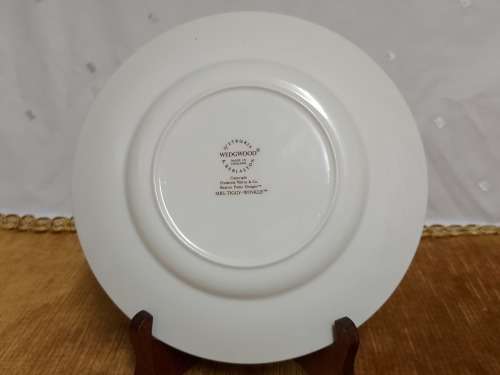 BEAUTIFUL VINTAGE WEDGWOOD ORIGINAL BEATRIX POTTER MRS TIGGY-WINKLE SALAD PLATE