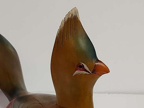 HIGHLY COLLECTIBLE LIMITED EDITION KNYSNA LOERIE BY FEATHERS OF KNYSNA, HAND CARVED AND PAINTED