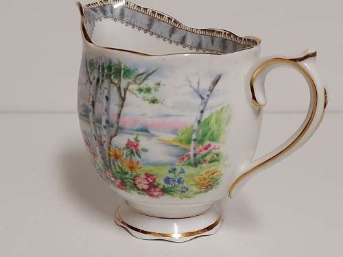 STUNNING ROYAL ALBERT SILVER BIRCH BONE CHINA CREAMER
