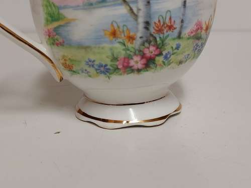 STUNNING ROYAL ALBERT SILVER BIRCH BONE CHINA CREAMER