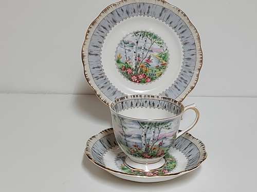 STUNNING ROYAL ALBERT SILVER BIRCH BONE CHINA TEA TRIO