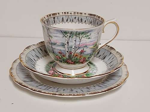 STUNNING ROYAL ALBERT SILVER BIRCH BONE CHINA TEA TRIO