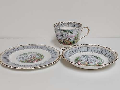 STUNNING ROYAL ALBERT SILVER BIRCH BONE CHINA TEA TRIO