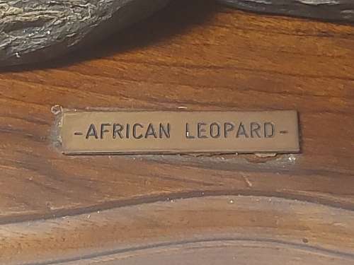 ULTRA RARE ORIGINAL JACKIE NOAKES SCULPTURE OF AN AFRICAN LEOPARD, SIGNED AT THE BASE