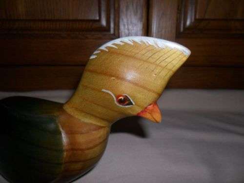 LARGE BIRDS OF AFRICA  KNYSNA LOURIE