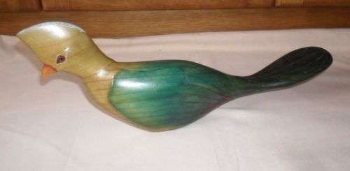 LARGE BIRDS OF AFRICA  KNYSNA LOURIE