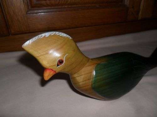 LARGE BIRDS OF AFRICA  KNYSNA LOURIE