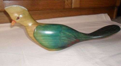 LARGE BIRDS OF AFRICA  KNYSNA LOURIE