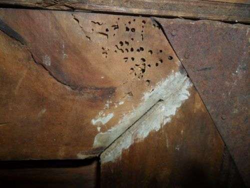 ANTIQUE WOODEN EGG BOX FOR A DOZEN EGGS