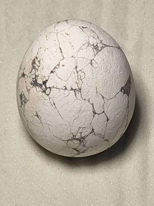 Howlite Egg