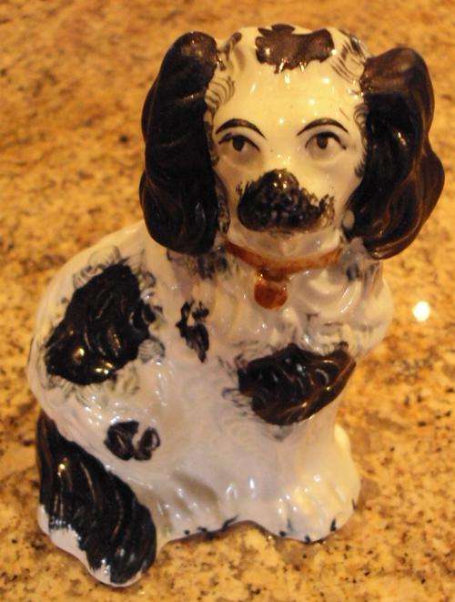 A LONELY STAFFORDSHIRE DOG