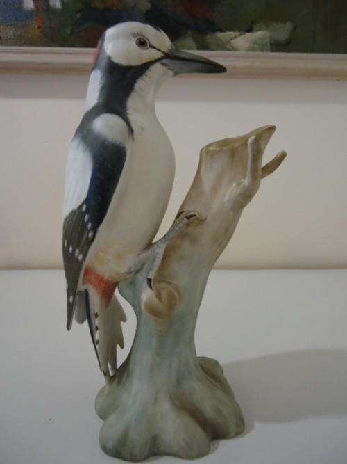 SPODE GREATER SPOTTED WOODPECKER