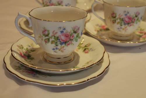 SUPERB ROYAL ALBERT 21pc MOSS ROSE TEA SET