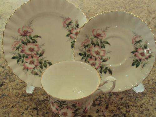 ROYAL ALBERT WILD ROSE TEA TRIO