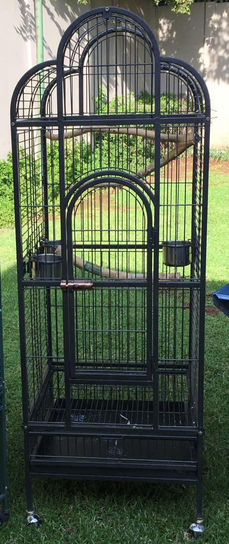 Large parrot cage (for medium sized parrots)