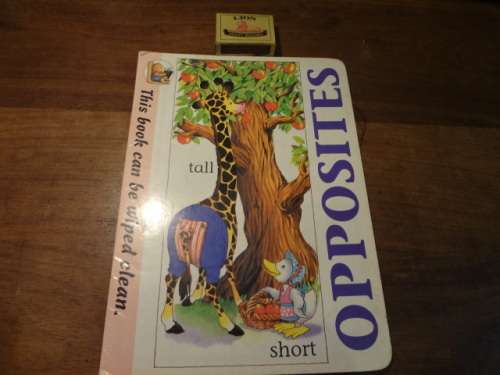 Wipe Clean Opposites (soft cover)