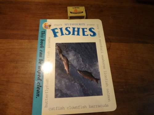 Wipe Clean Fishes (soft cover)