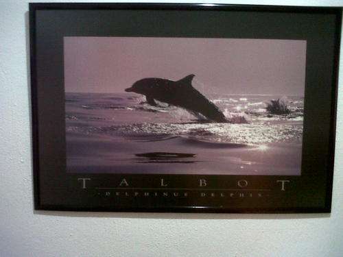painting - Framed dolphin print - 90 cm in lenght