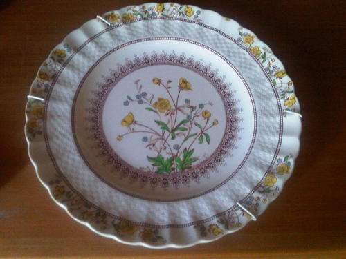 COPELAND SPODE PLATE..BUTTERCUP COLLECTION WITH WALL HANGING SPRING