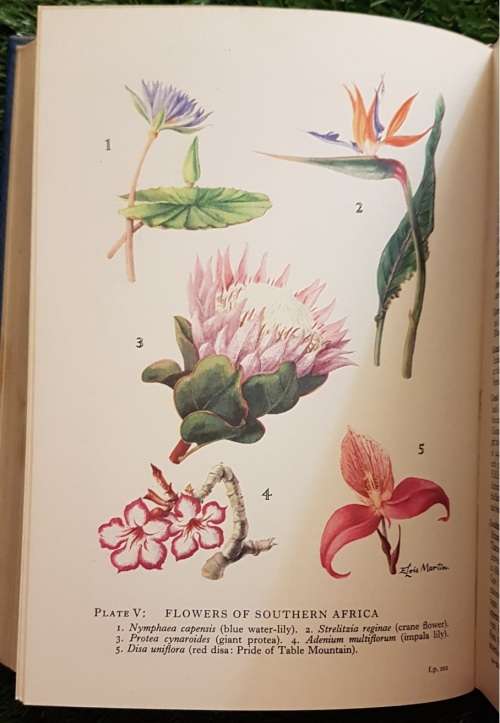 Encyclopaedia of Southern Africa by Eric Rosenthal