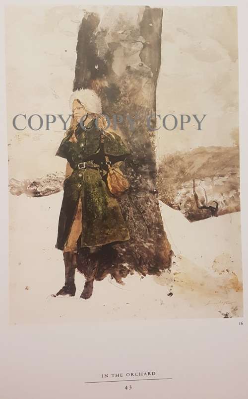 The Helga Pictures - Andrew Wyeth