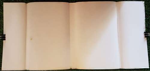 A Can of Worms,   James Hadley Chase