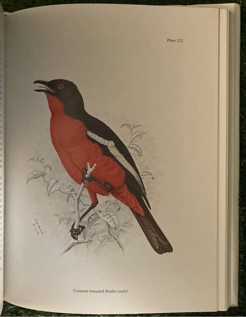 The Birds of Southern Africa by Finch-Davies (numbered edition)