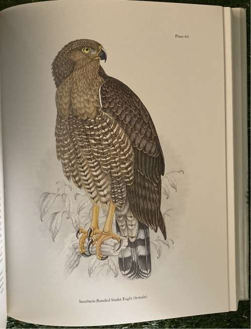 The Birds of Southern Africa by Finch-Davies (numbered edition)