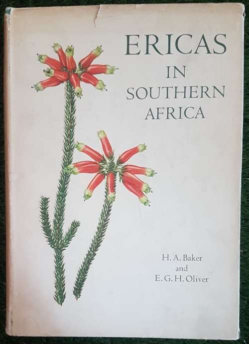 Ericas in Southern Africa.  1st Ed Many Paintings By Von Below, Fay Anderson.