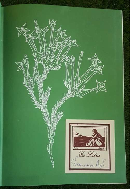 Ericas in Southern Africa.  1st Ed Many Paintings By Von Below, Fay Anderson.