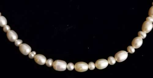 Genuine Freshwater Pearl Necklace