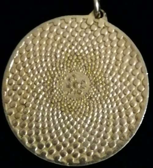 Vintage Cloisart Stamped Cloisonne Pendant with Gold Tone Chain