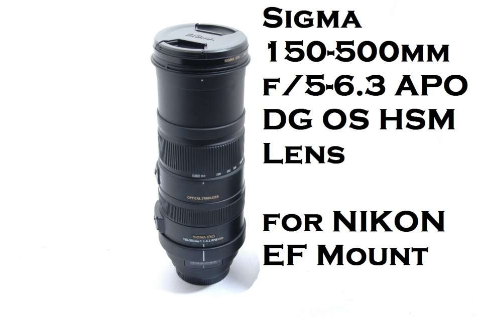 Sigma 150-500mm f/5-6.3 APO DG OS HSM Lens for NIKON EF Mount  WITH Lens Support Collar Tripod