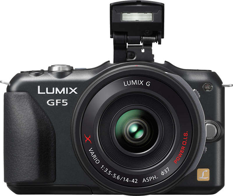 Panasonic DMC-GF5 12 MP Mirrorless Camera with Touch Screen , 14-42MM Zoom Lens AND PANASONIC BAG