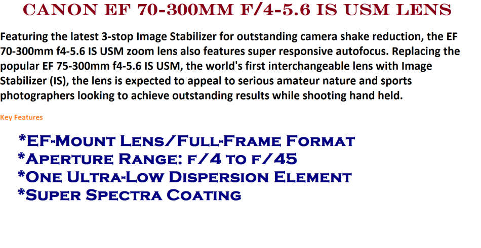 Canon EF 70-300mm f/4.5-5.6 IS ULTRASONIC Lens EXCELLENT CONDITION