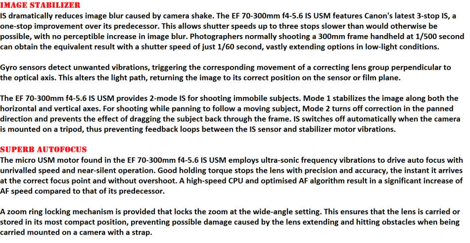 Canon EF 70-300mm f/4.5-5.6 IS ULTRASONIC Lens EXCELLENT CONDITION