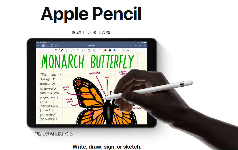 iPad Pro 2019 , 10.5" (Wi-Fi + Cellular) 64GB WITH KEYBOARD AND APPLE PENCIL