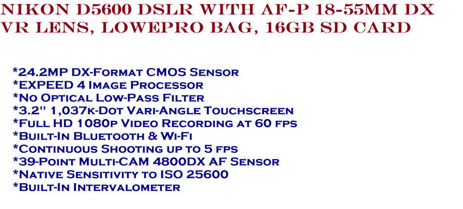 Nikon D5600 DSLR with AF-P 18-55mm DX VR Lens, Lowepro Bag, 16GB SD Card
