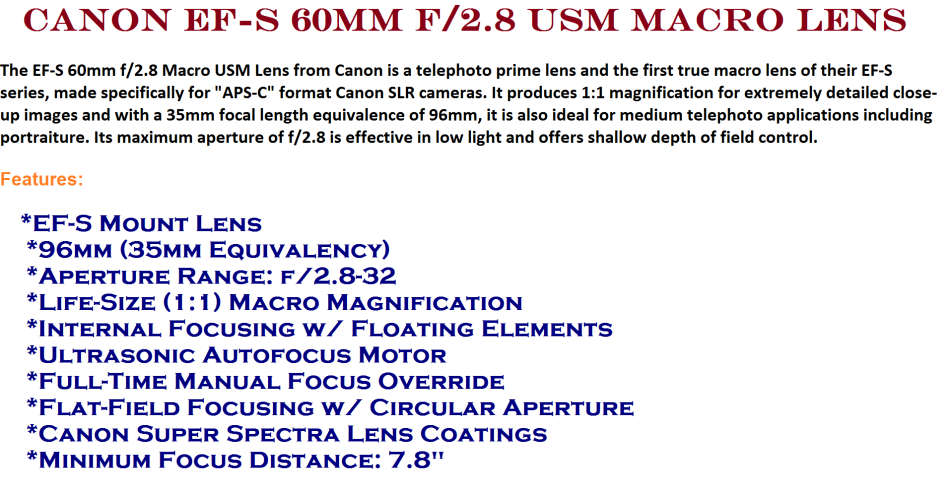 Canon EF-S 60mm f/2.8 USM Macro Lens IN EXCELLENT CONDITION