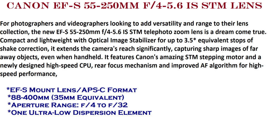 Canon EF-S 55-250mm f/4-5.6 IS STM Lens IN EXCELLENT CONDITION