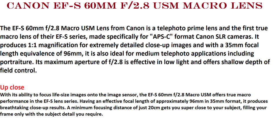 Canon EF-S 60mm f/2.8 USM Macro Lens IN EXCELLENT CONDITION