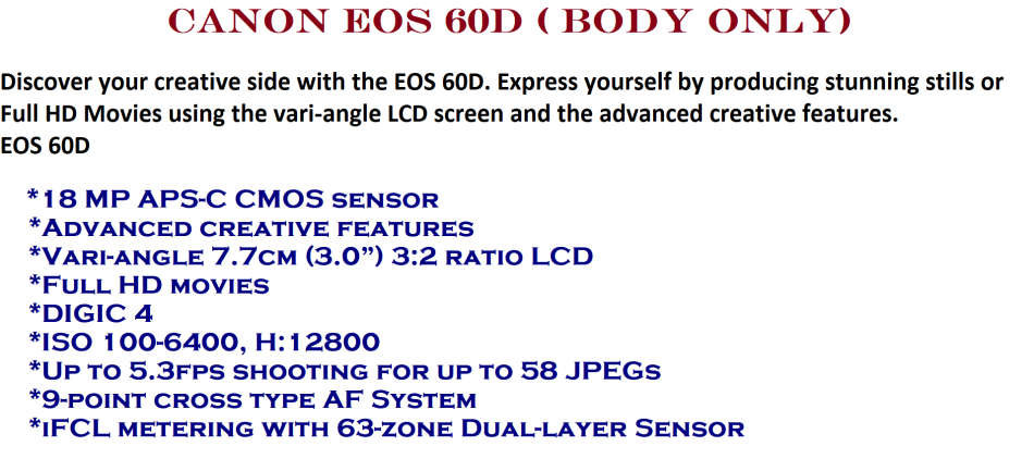 Canon EOS 60D ( BODY ONLY) WITH BATTERY GRIP , 2 BATTERIES AND CHARGER