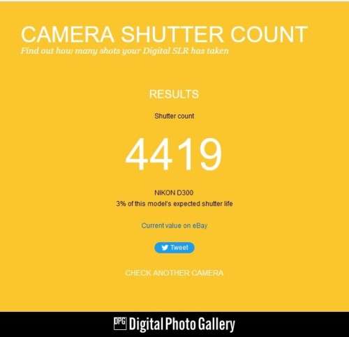 Nikon D300  12.3MP Digital SLR Camera WITH 18-55MM ZOOM LENS VERY GOOD CONDITION