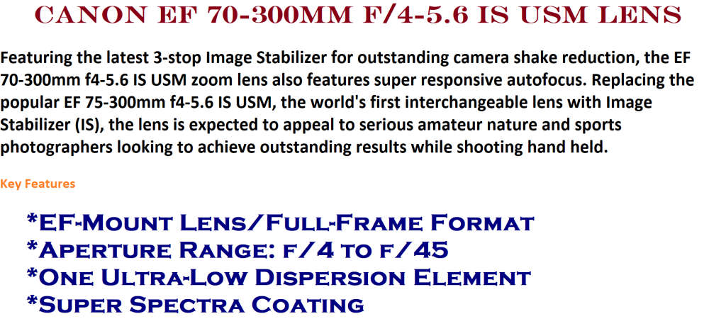 Canon EF 70-300mm f/4-5.6 IS USM Lens IN EXCELLENT CONDITION