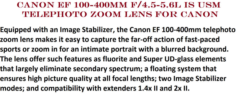 Canon EF 100-400mm f/4.5-5.6L IS USM Telephoto Zoom Lens for Canon SLR Cameras