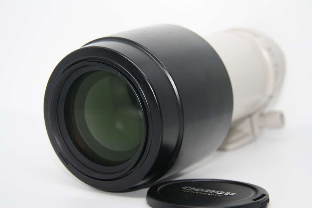Canon EF 100-400mm f/4.5-5.6L IS USM Telephoto Zoom Lens for Canon SLR Cameras