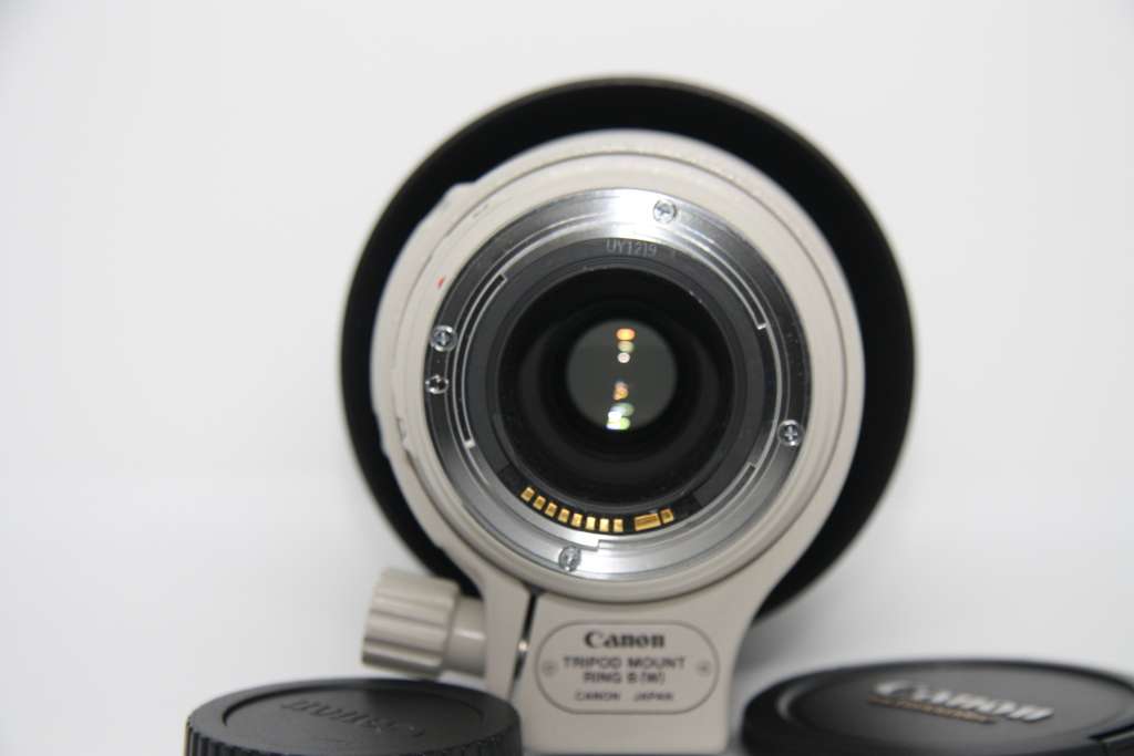 Canon EF 100-400mm f/4.5-5.6L IS USM Telephoto Zoom Lens for Canon SLR Cameras