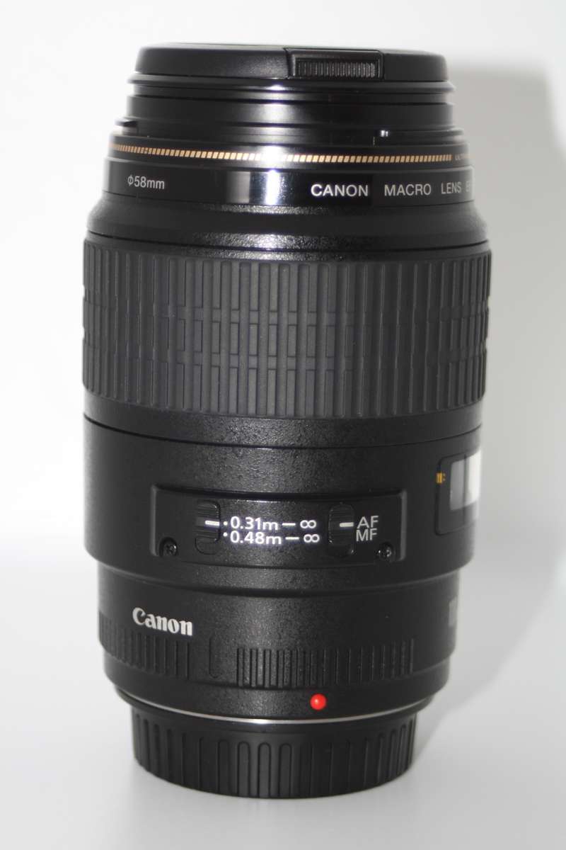 Canon EF 100mm f/2.8 USM Macro Lens in Very Good Condition