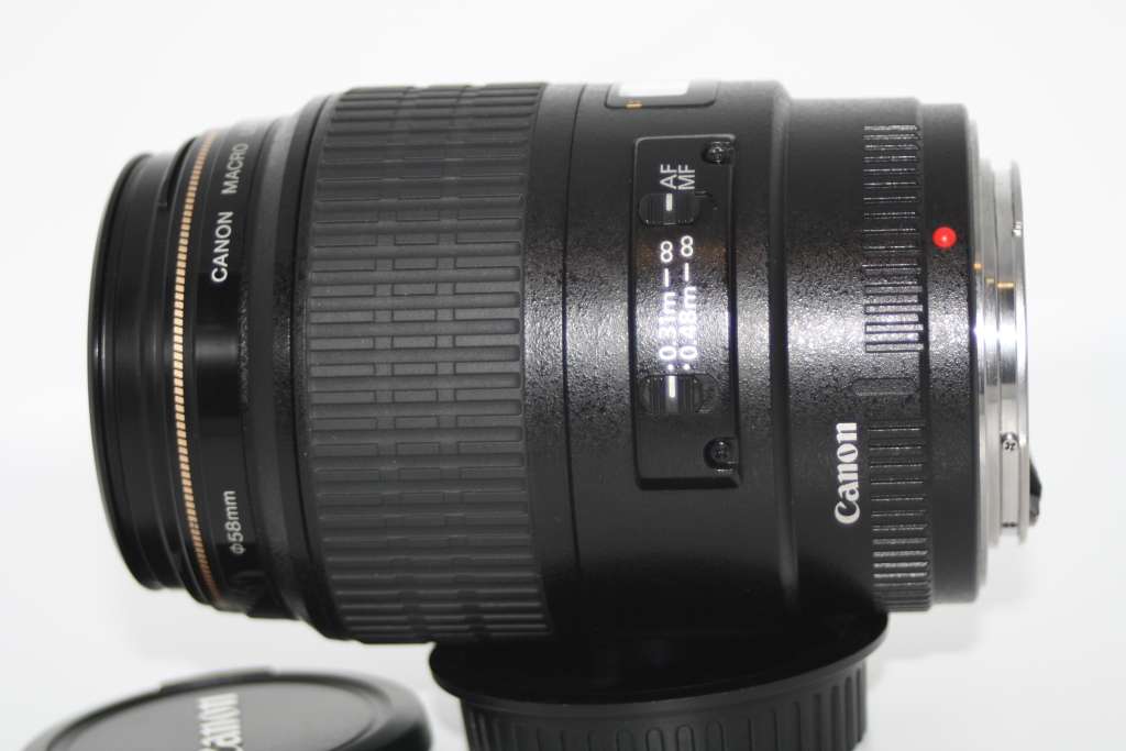 Canon EF 100mm f/2.8 USM Macro Lens in Very Good Condition