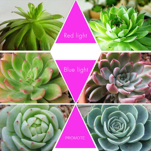 1200W 250LED Round Plant Growing Lamp Indoor Greenhouse Plant Grow Light